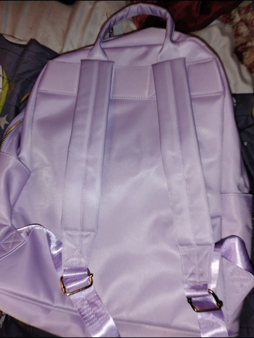 danbar cute lavender